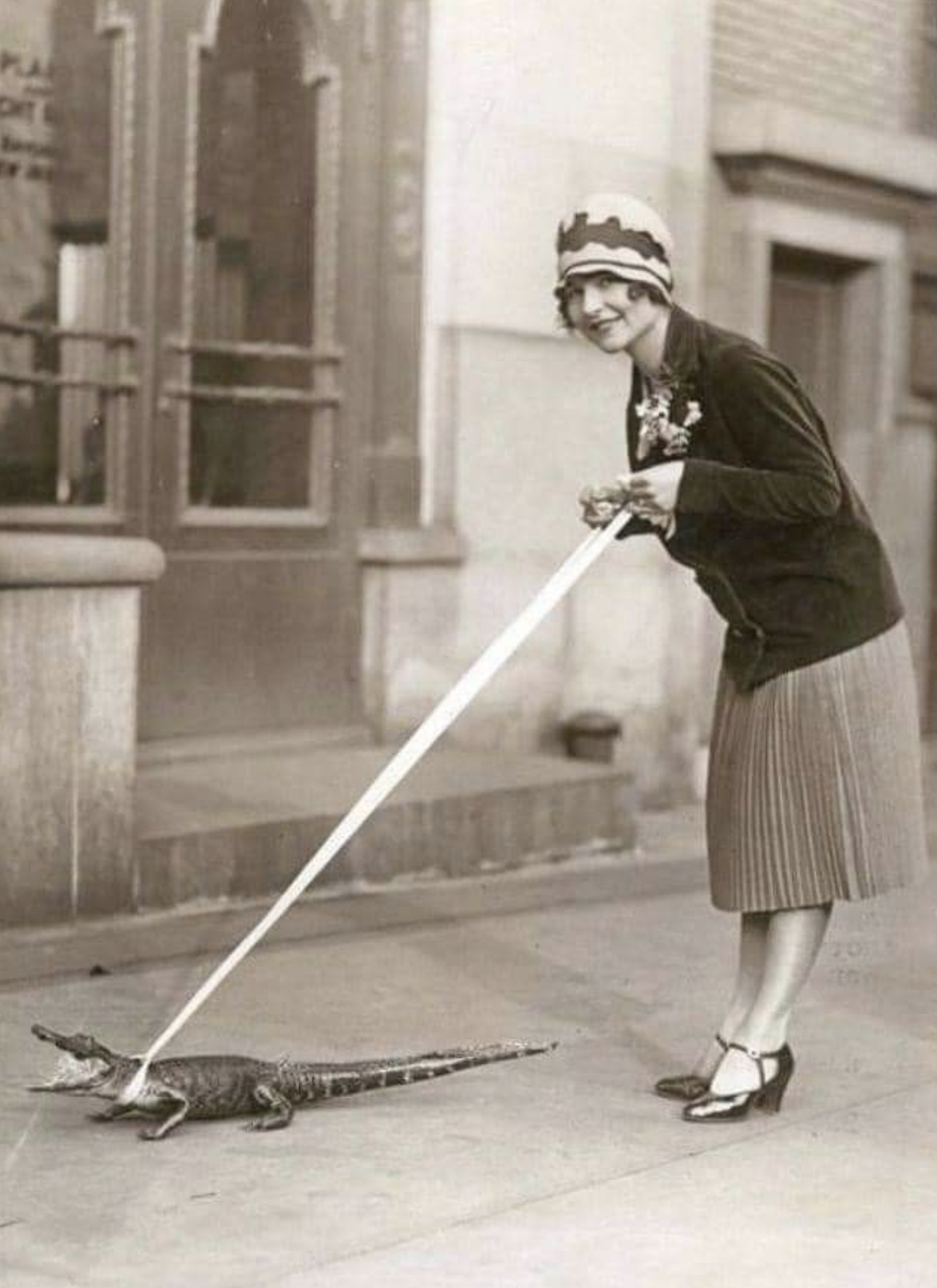 A woman walking her alligator 